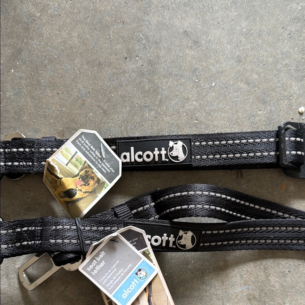 Alcott Black Dog seat belt (2)